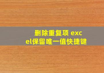 删除重复项 excel保留唯一值快捷键